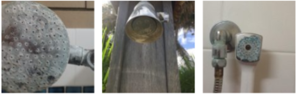 Shower Water Softener - Image 3